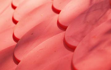 Mugginton plastic roof costs